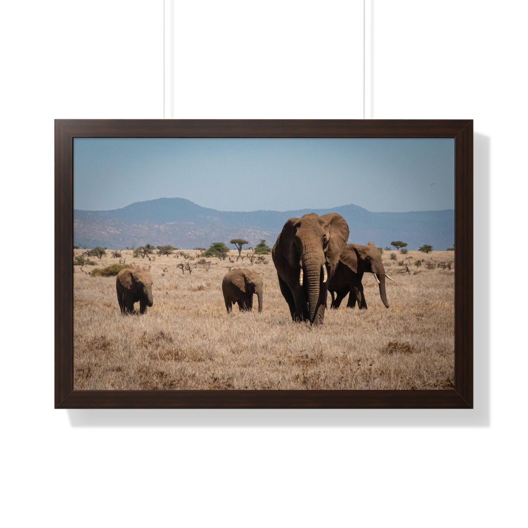 Family March - Framed Print
