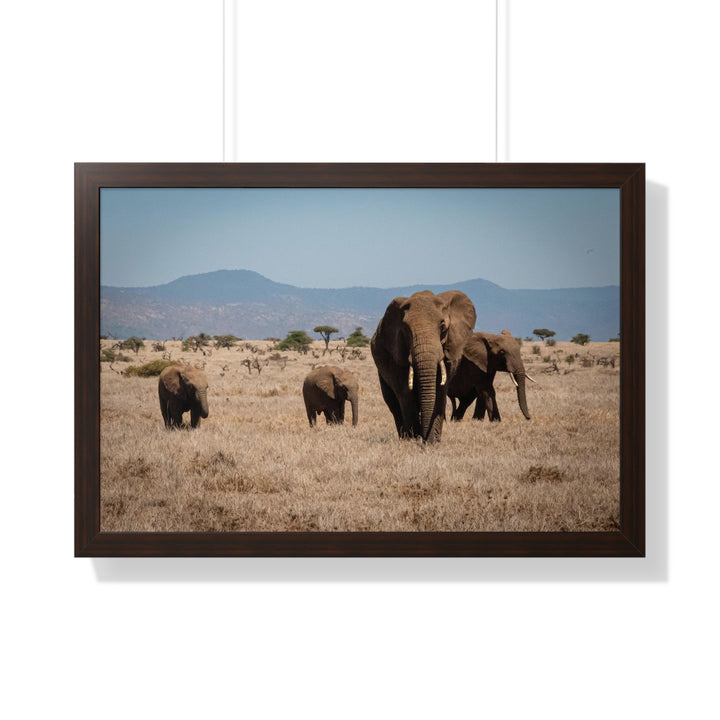 Family March - Framed Print