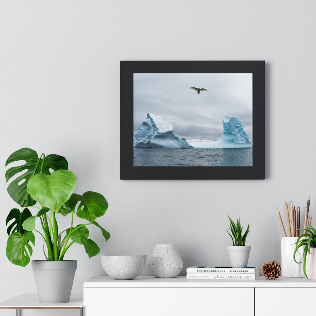 Antarctic Flight - Framed Print
