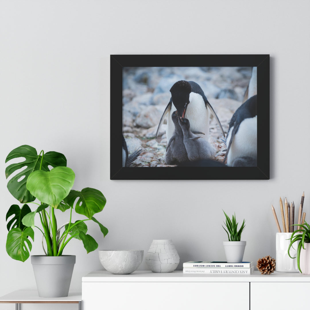 Feeding Time - Framed Print