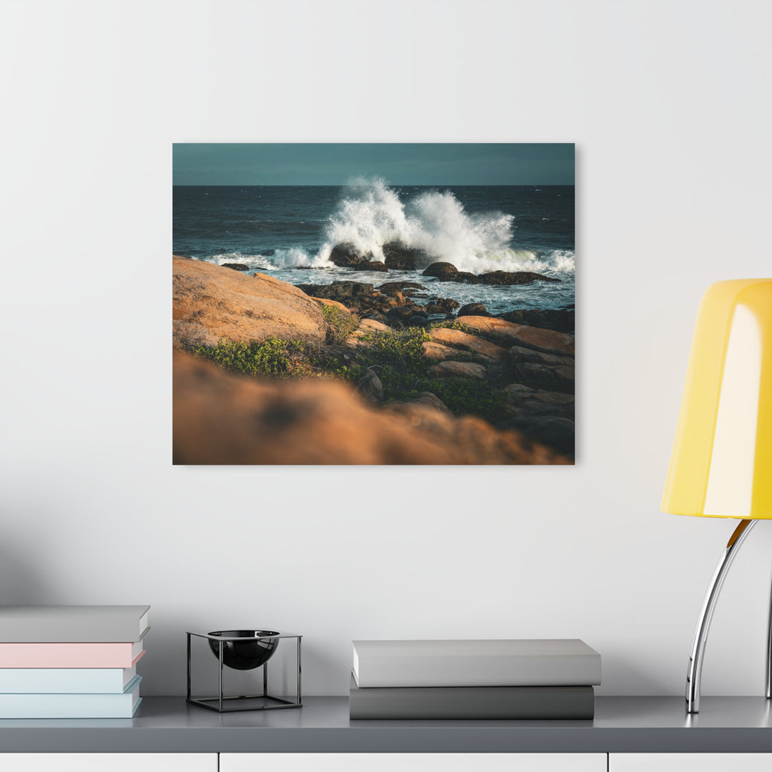 Resilience | Acrylic Wall Art Print | Elemental Escape Collection