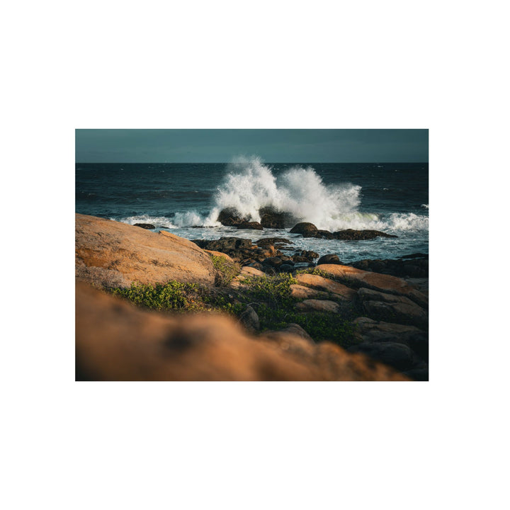 Resilience | Aluminum Wall Art | Elemental Escape Collection