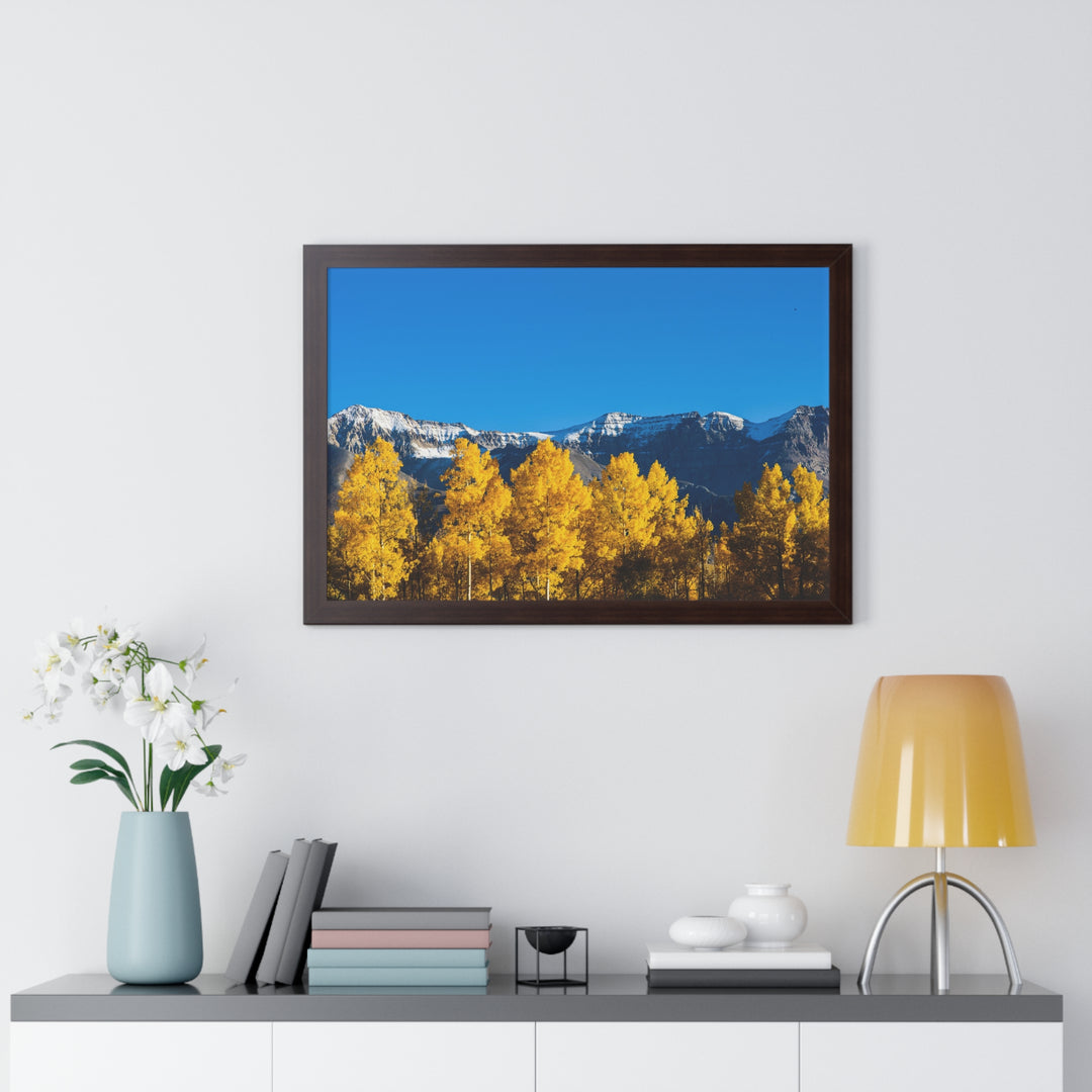 Golden Glow - Framed Print