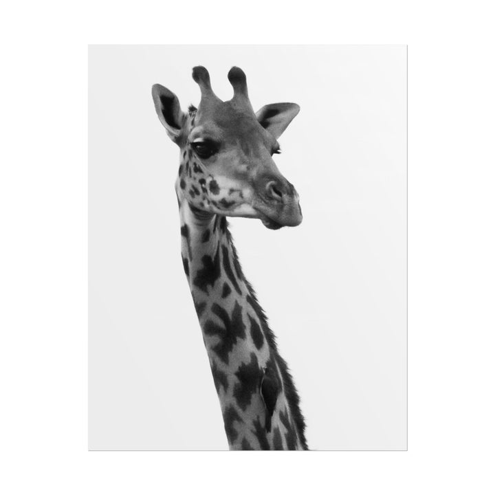 Giraffe Portrait in Black and White | Rolled Unframed Print | Elemental Escape Collection