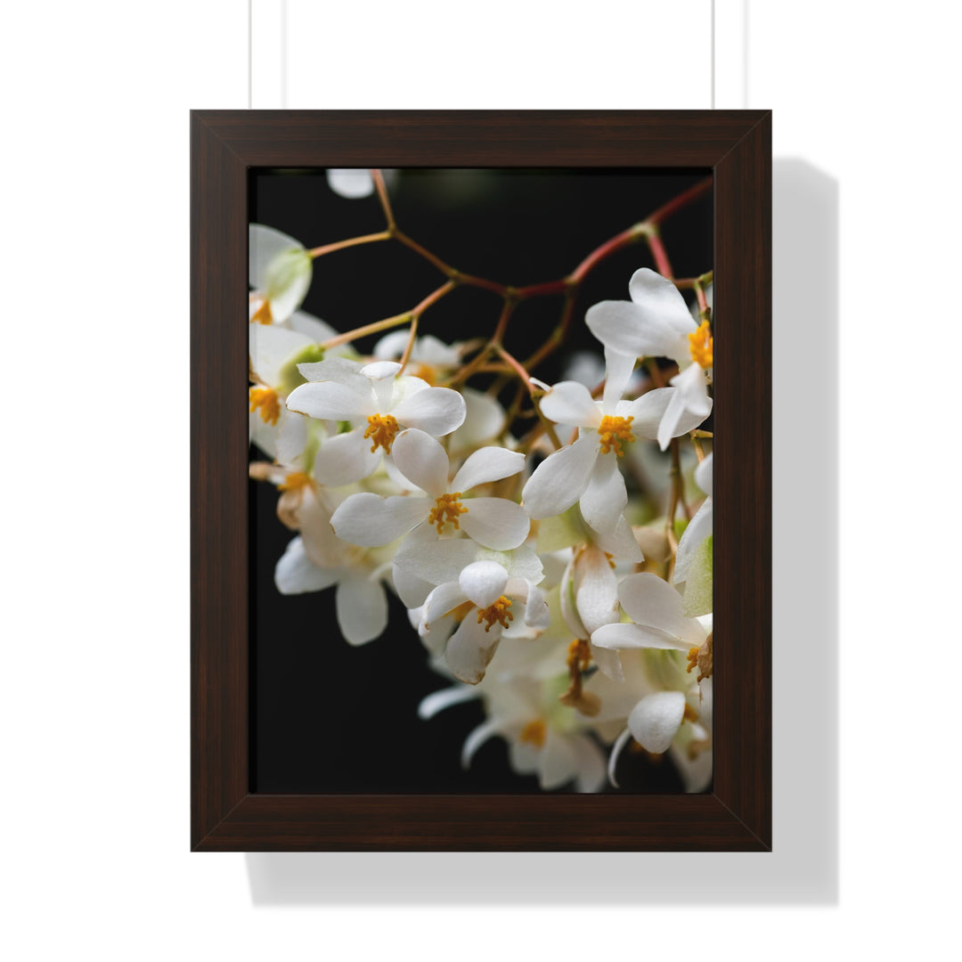Floral Network - Framed Print