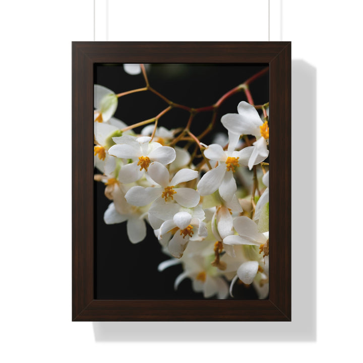 Floral Network - Framed Print