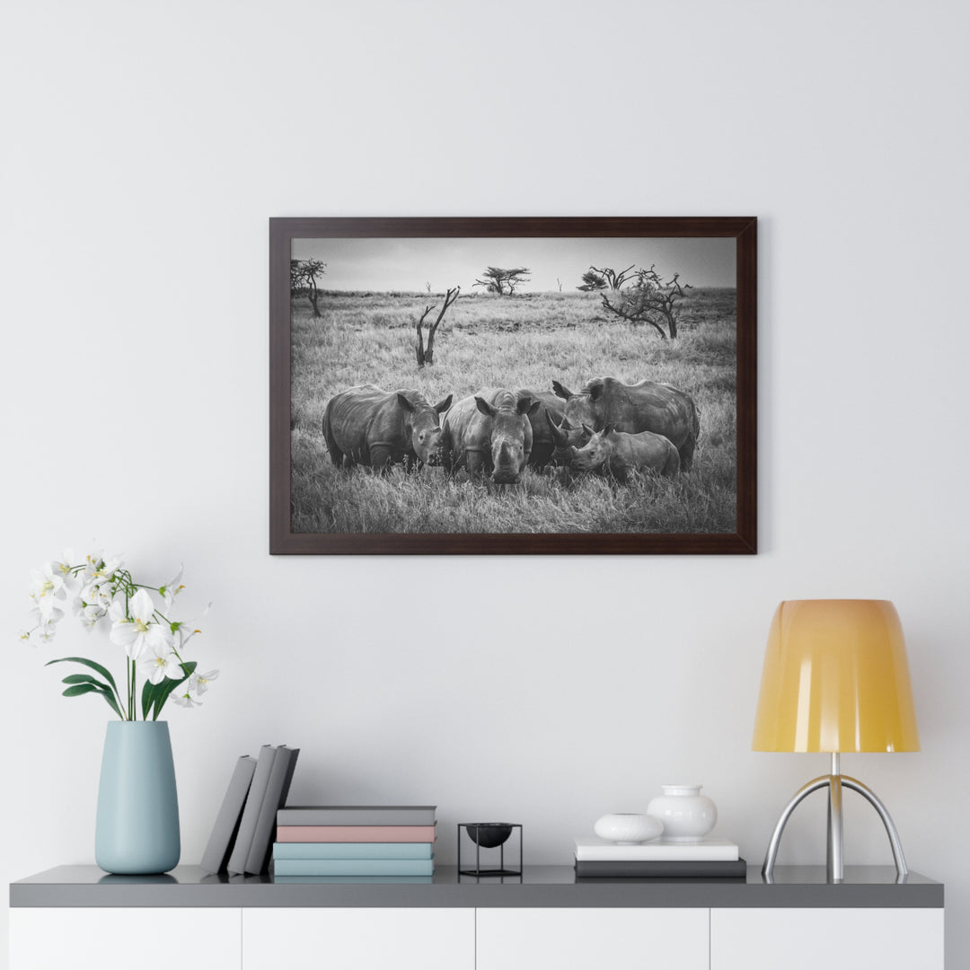 Rhino Family in Black and White - Framed Print