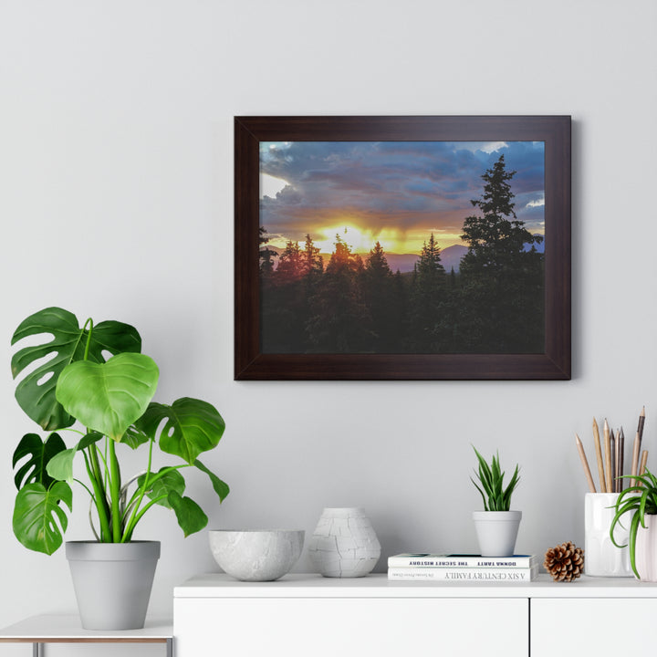Rainy Sunset Through the Trees - Framed Print