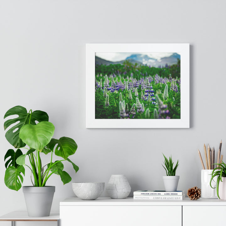 Glowing Lupin with Mountains - Framed Print