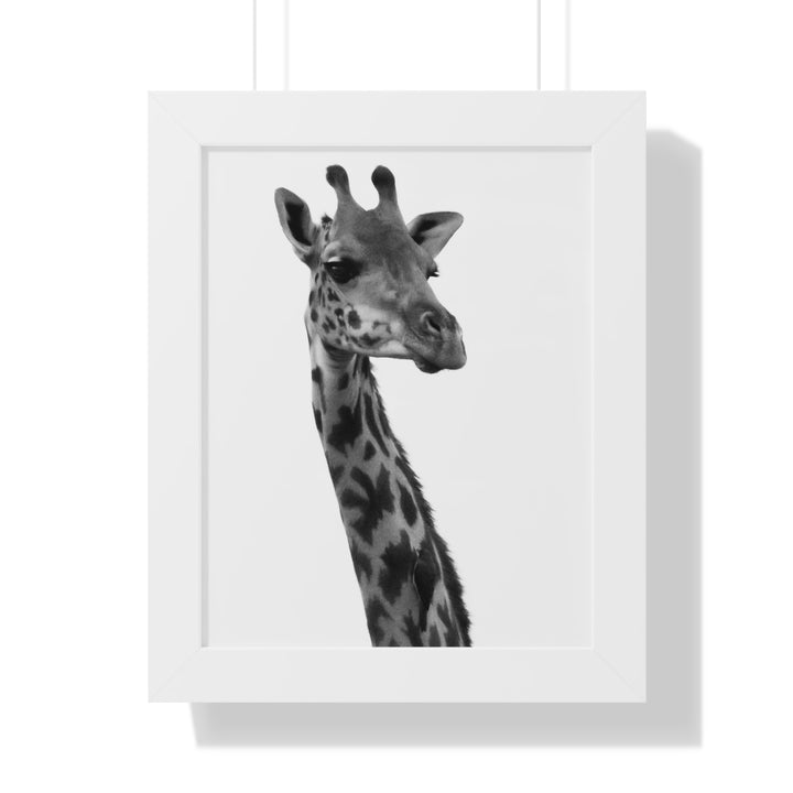 Giraffe Portrait in Black and White - Framed Print