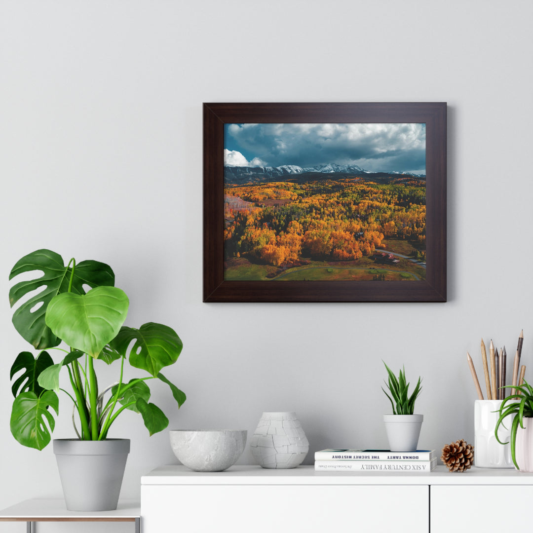 Golds of Autumn - Framed Print