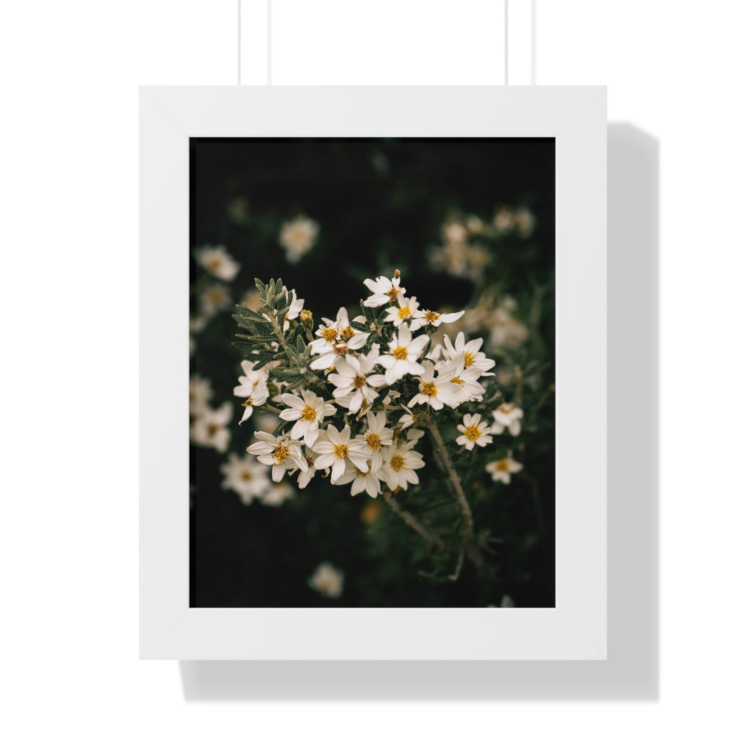 A Touch of White - Framed Print