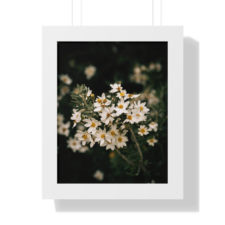 A Touch of White - Framed Print