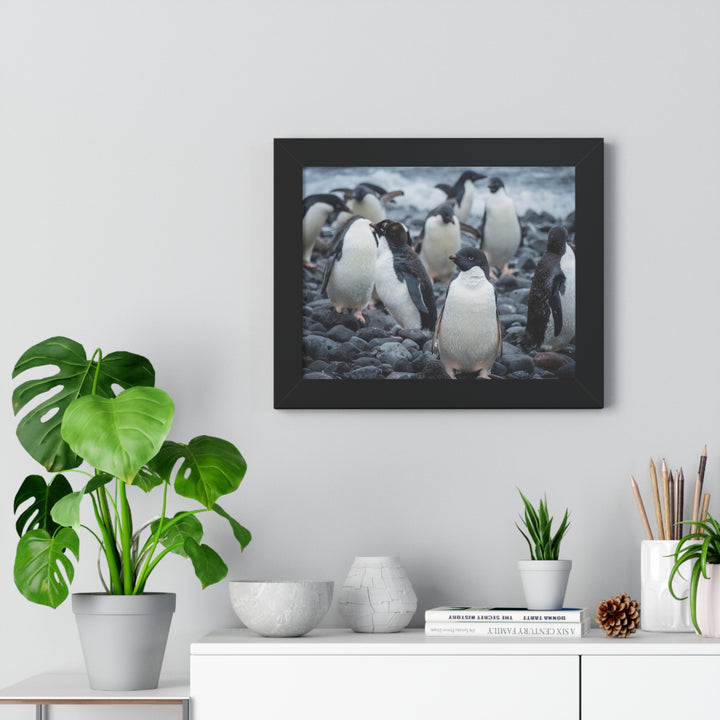 Drying Out - Framed Print