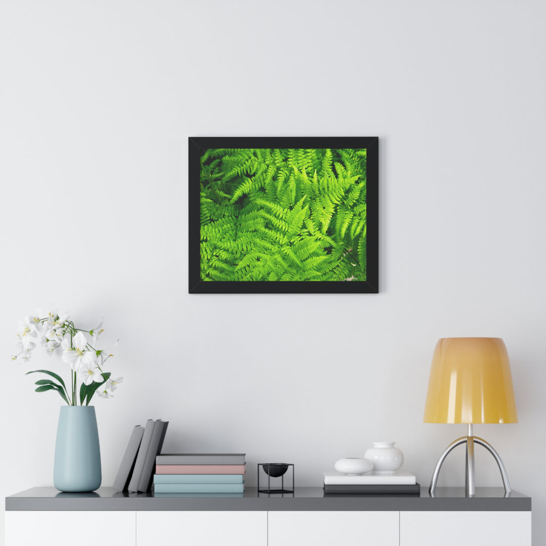 Ferns, Ferns, Ferns - Framed Print