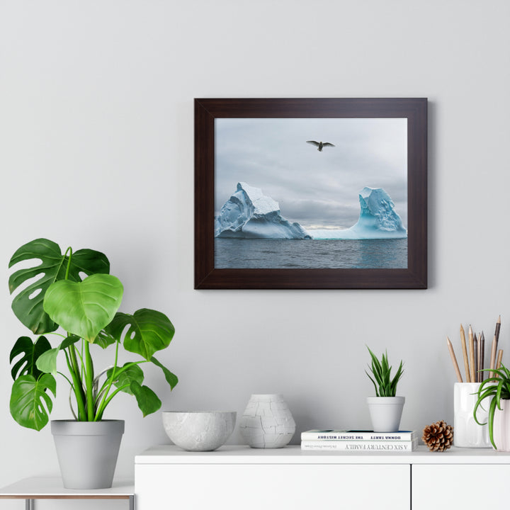 Antarctic Flight - Framed Print