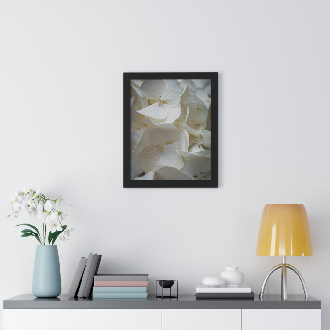White Hydrangea Detail - Framed Print