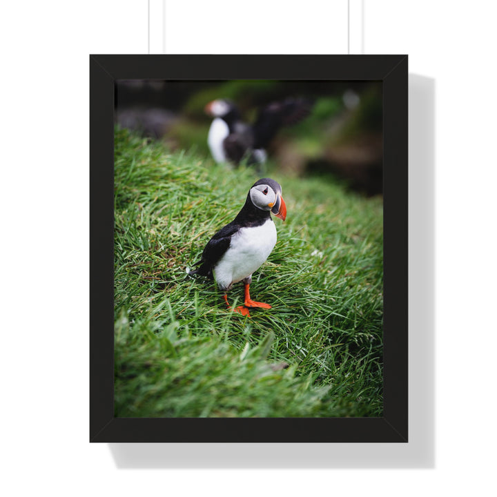 Curious Look - Framed Print