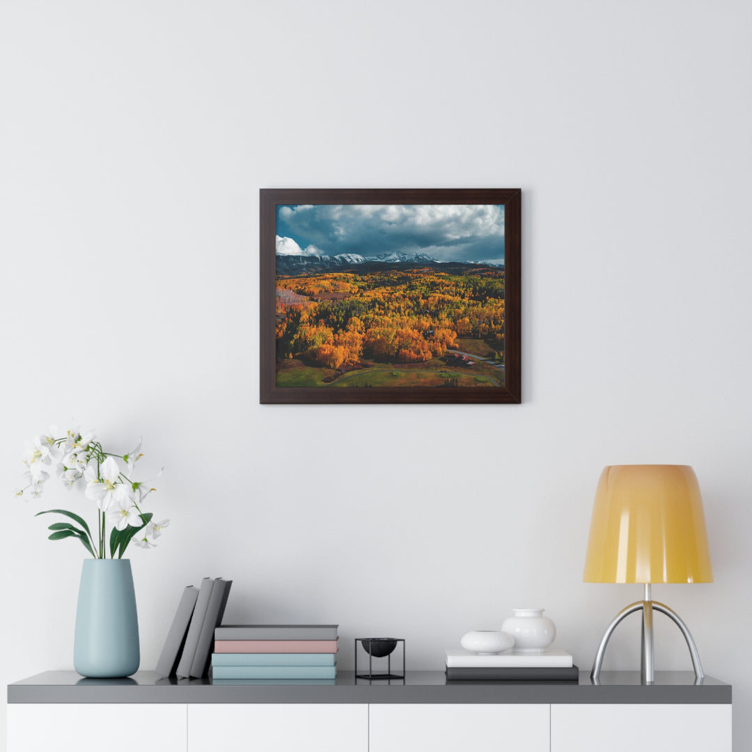 Golds of Autumn - Framed Print