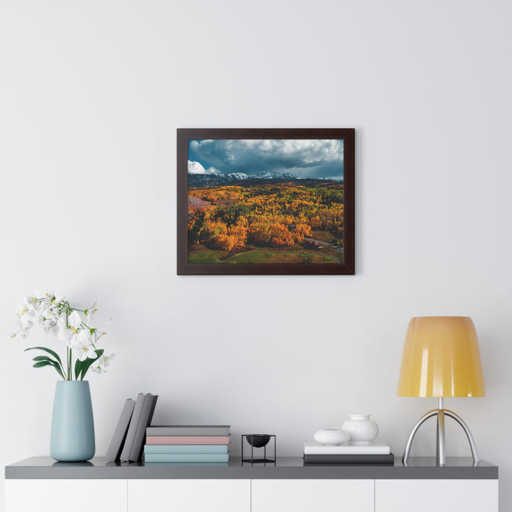 Golds of Autumn - Framed Print