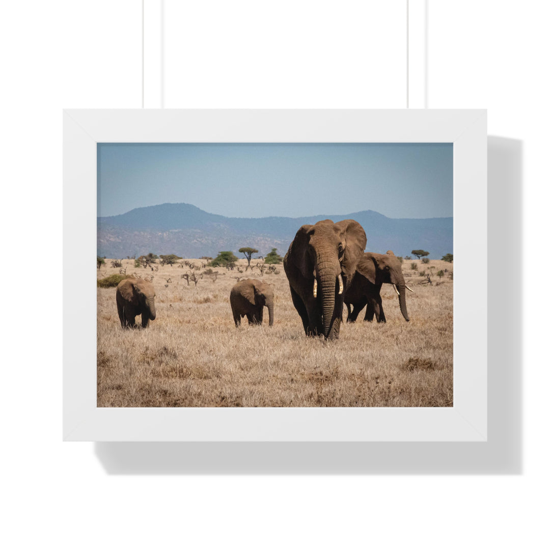 Family March - Framed Print