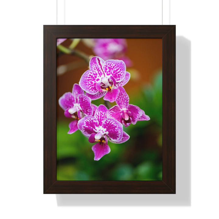 Spotted Orchid - Framed Print