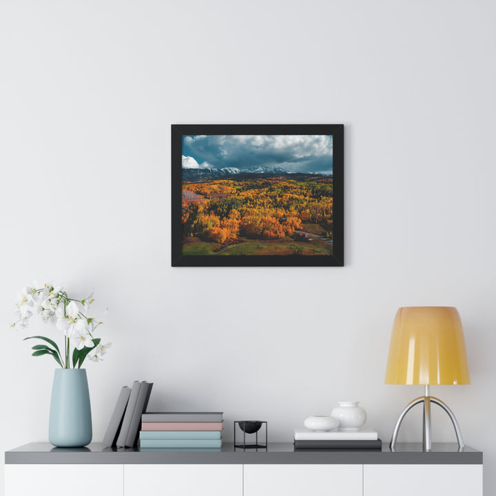 Golds of Autumn - Framed Print