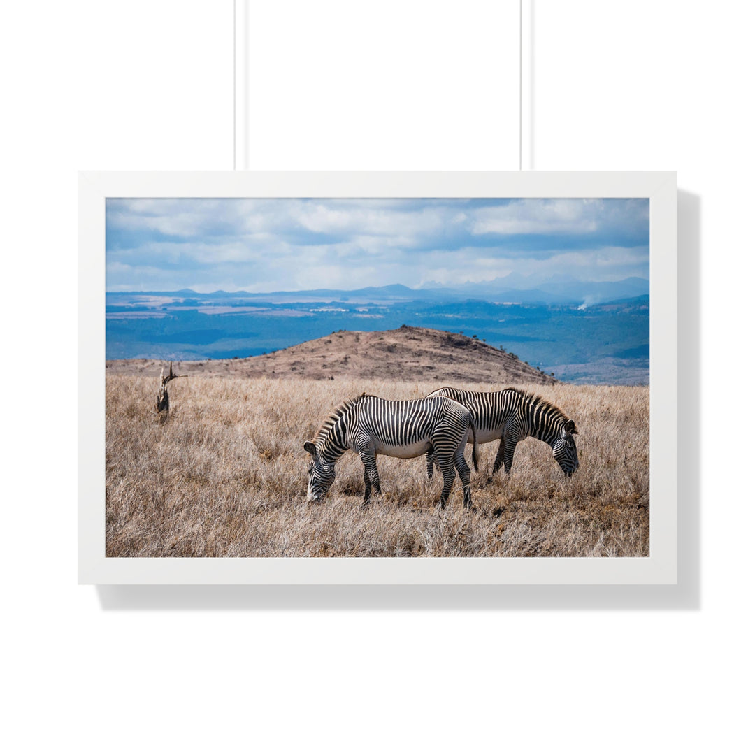 Zebra-Striped Expanse - Framed Print