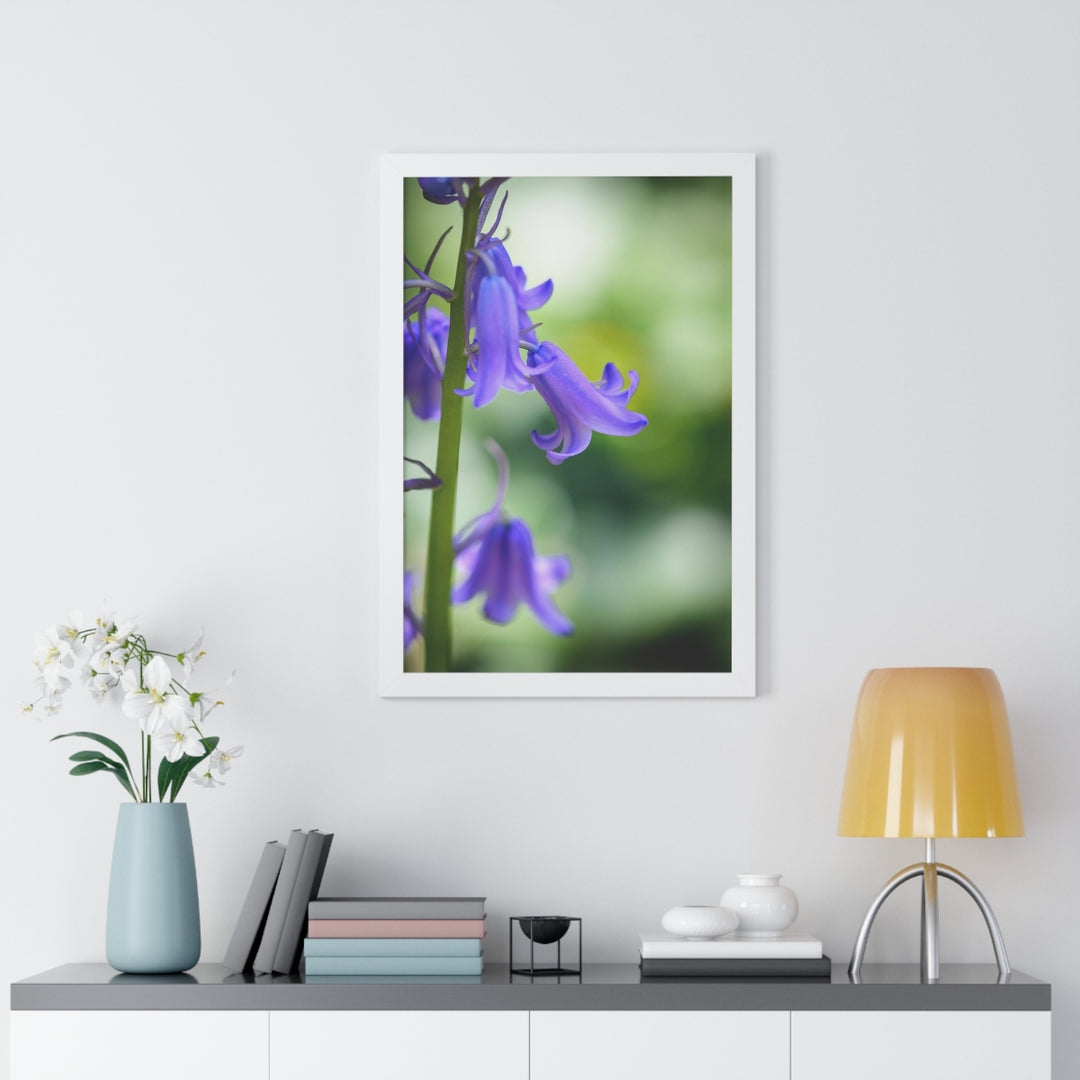 Delicate Bell - Framed Print