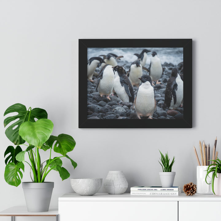 Drying Out - Framed Print