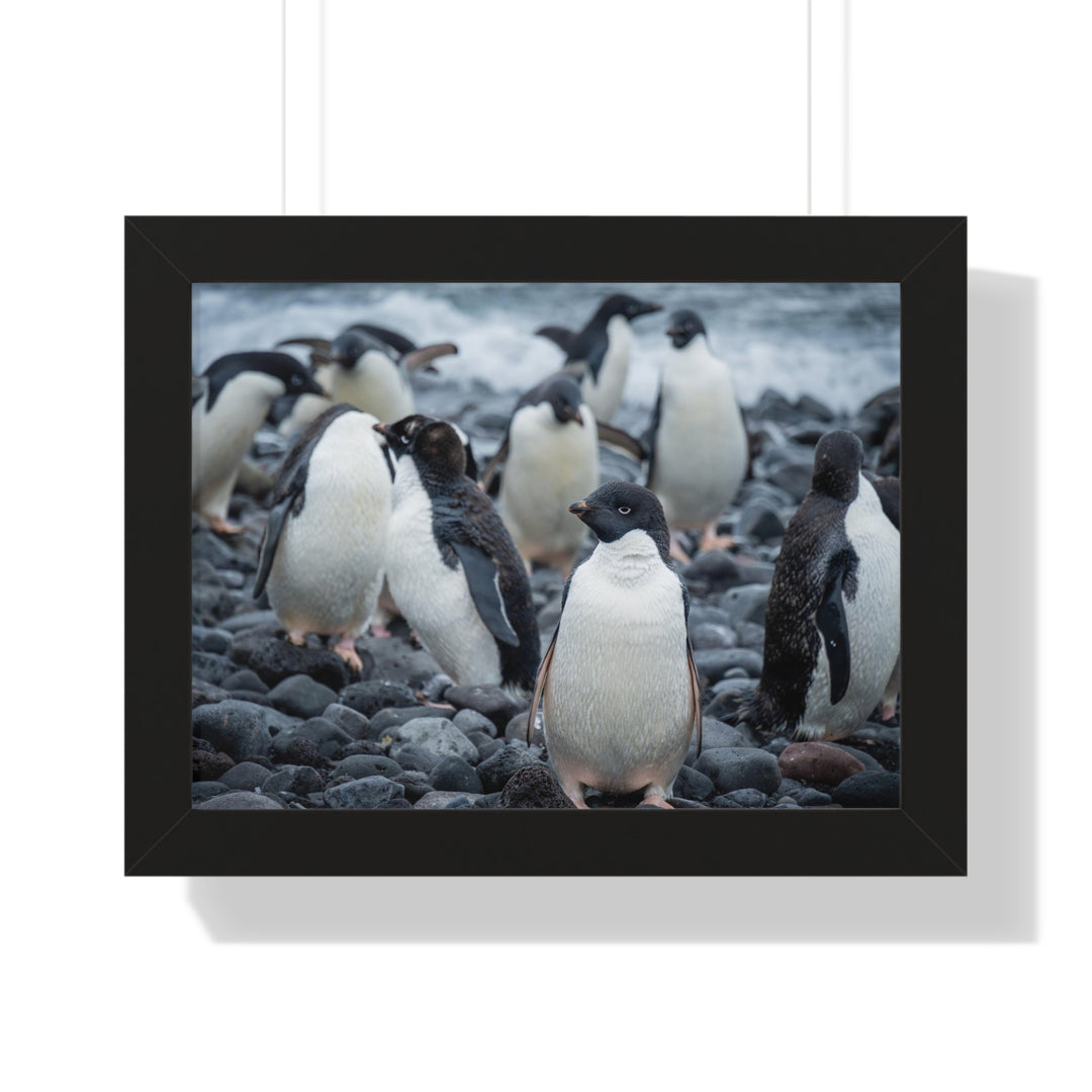 Drying Out - Framed Print