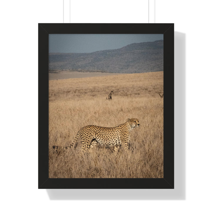 Regal Camouflage  - Framed Print
