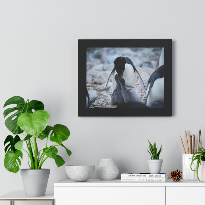 Feeding Time - Framed Print