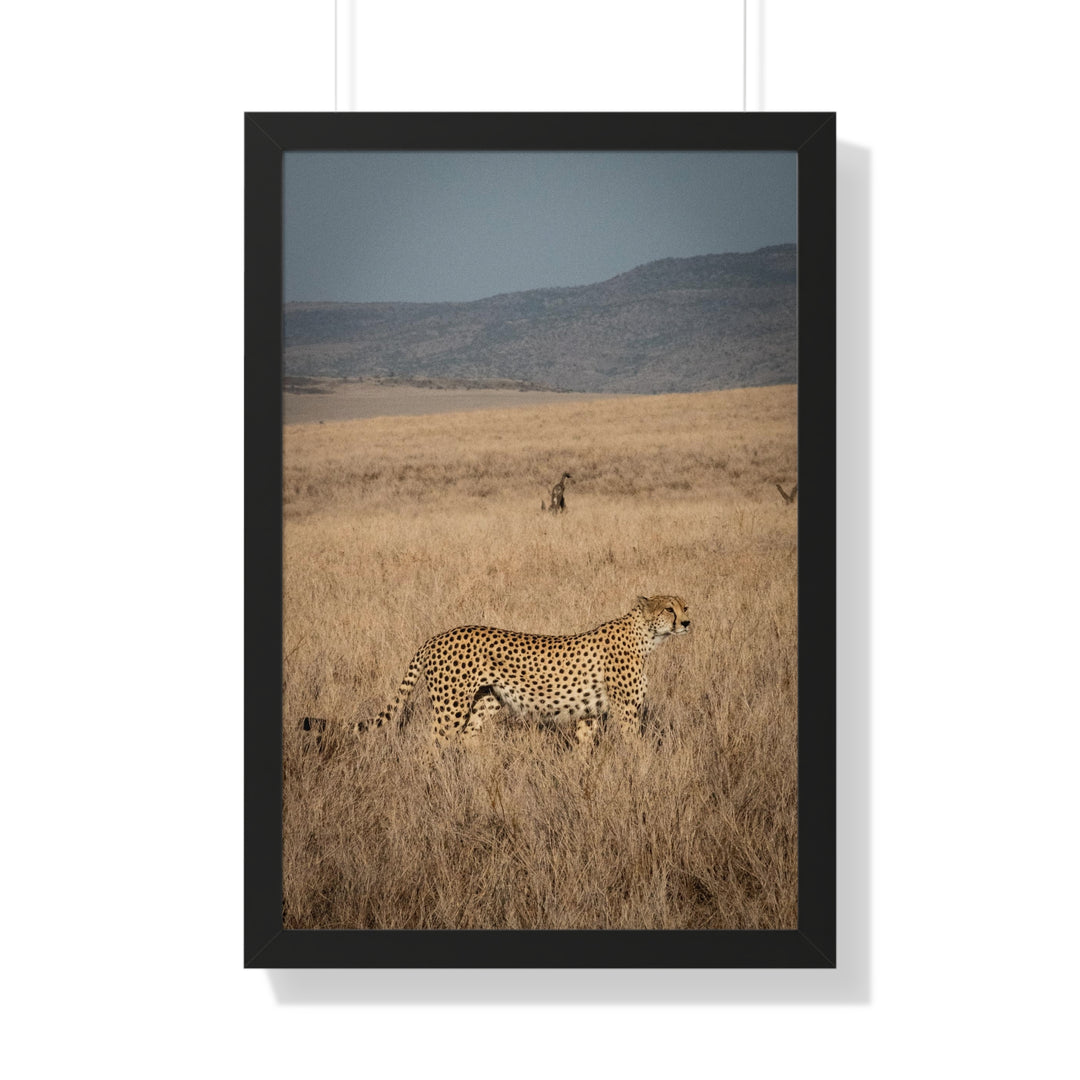 Regal Camouflage  - Framed Print
