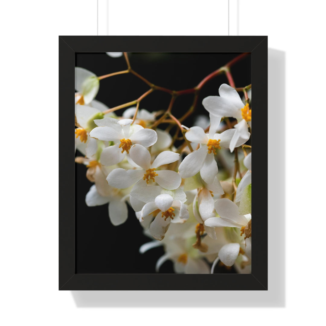 Floral Network - Framed Print