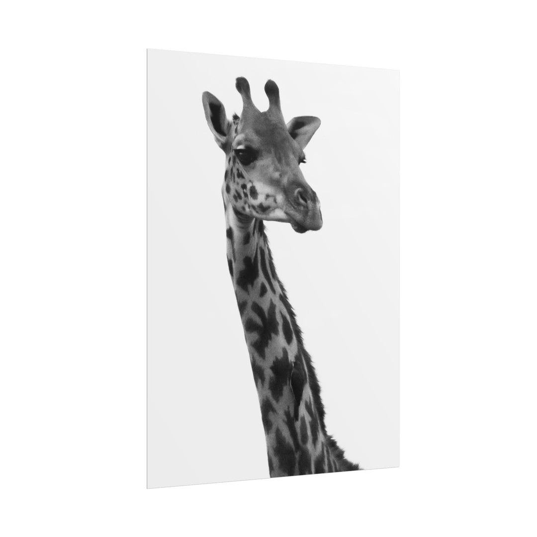 Giraffe Portrait in Black and White | Rolled Unframed Print | Elemental Escape Collection