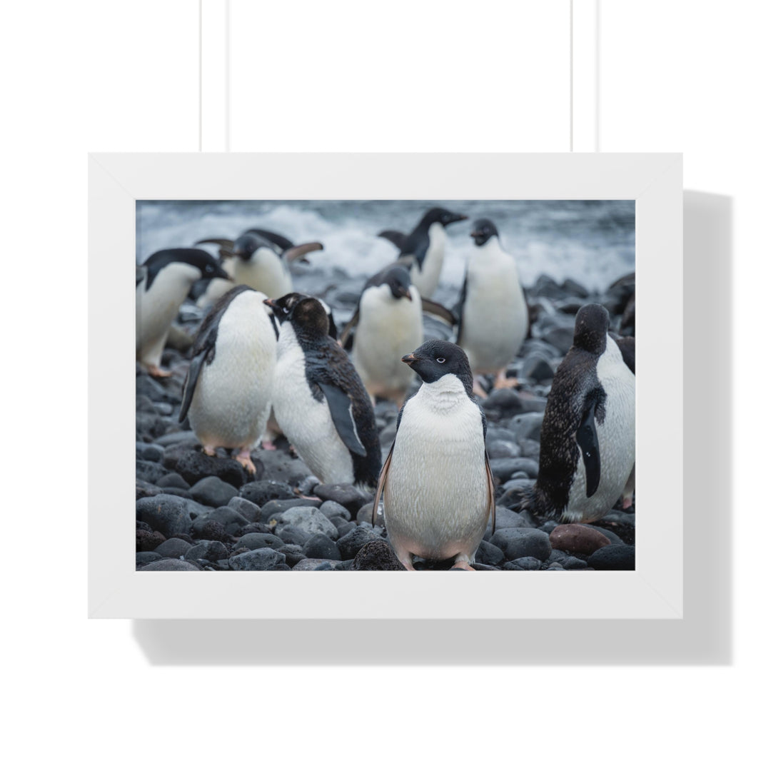 Drying Out - Framed Print