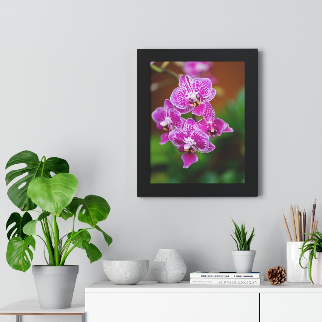 Spotted Orchid - Framed Print