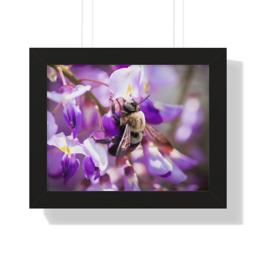 Hungry Visitor - Framed Print