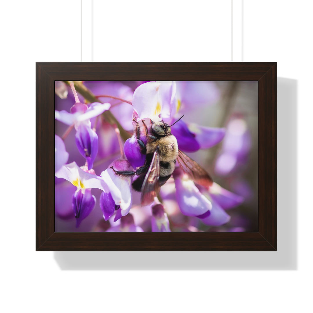 Hungry Visitor - Framed Print