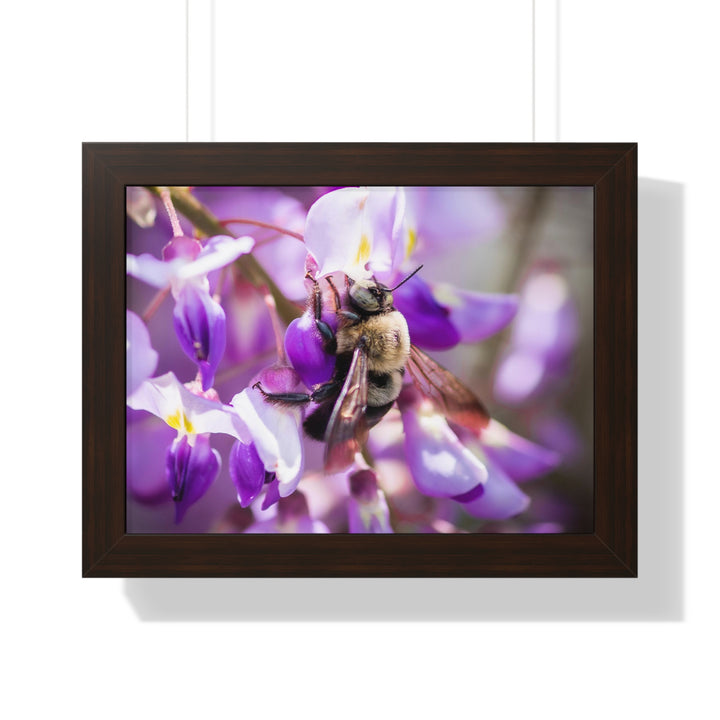 Hungry Visitor - Framed Print