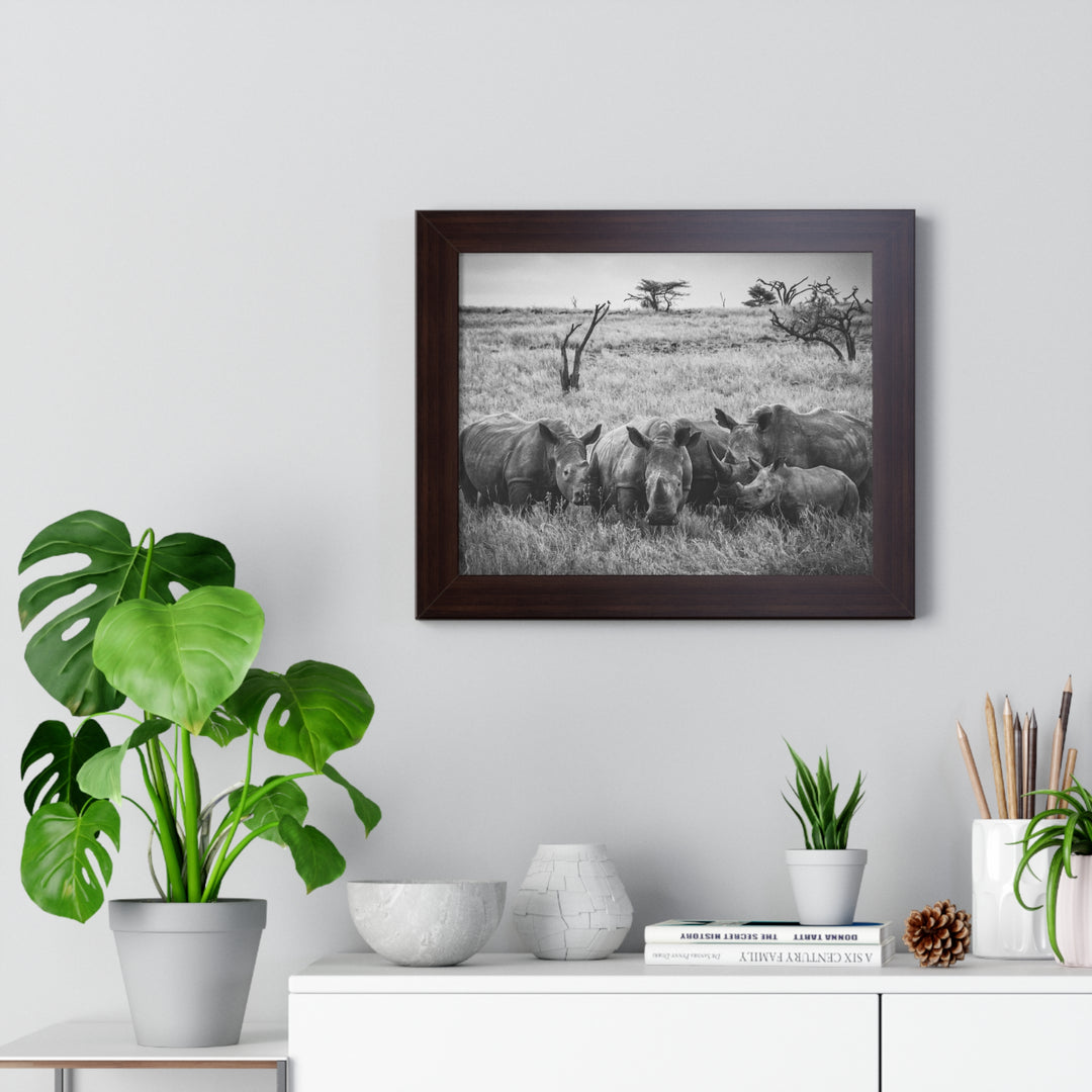 Rhino Family in Black and White - Framed Print