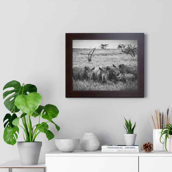 Rhino Family in Black and White - Framed Print