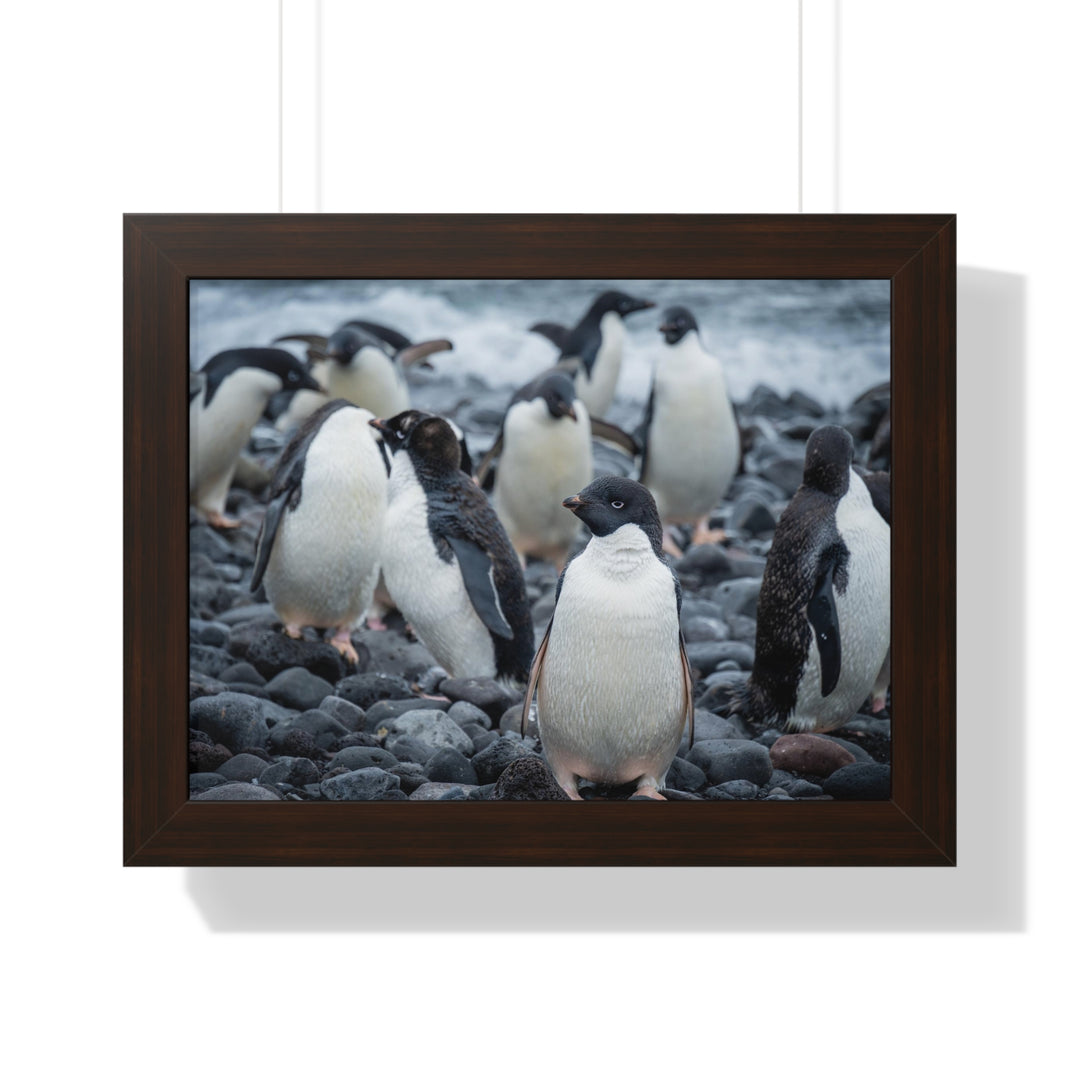 Drying Out - Framed Print