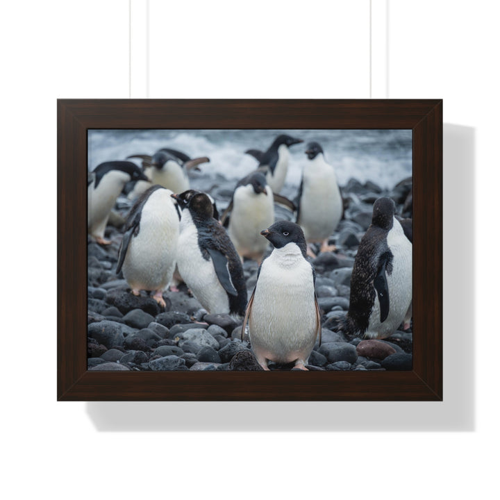 Drying Out - Framed Print