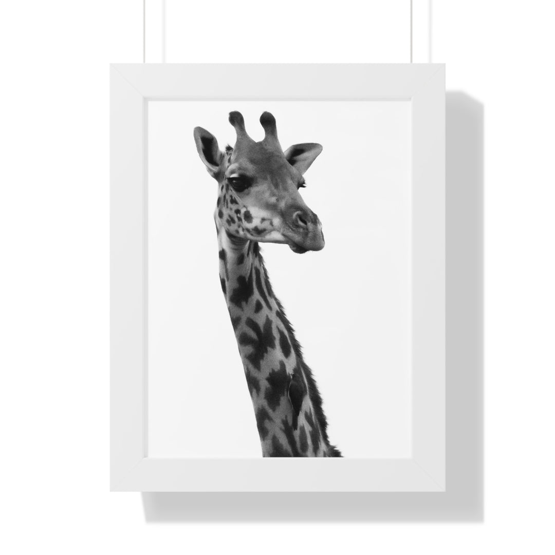Giraffe Portrait in Black and White - Framed Print