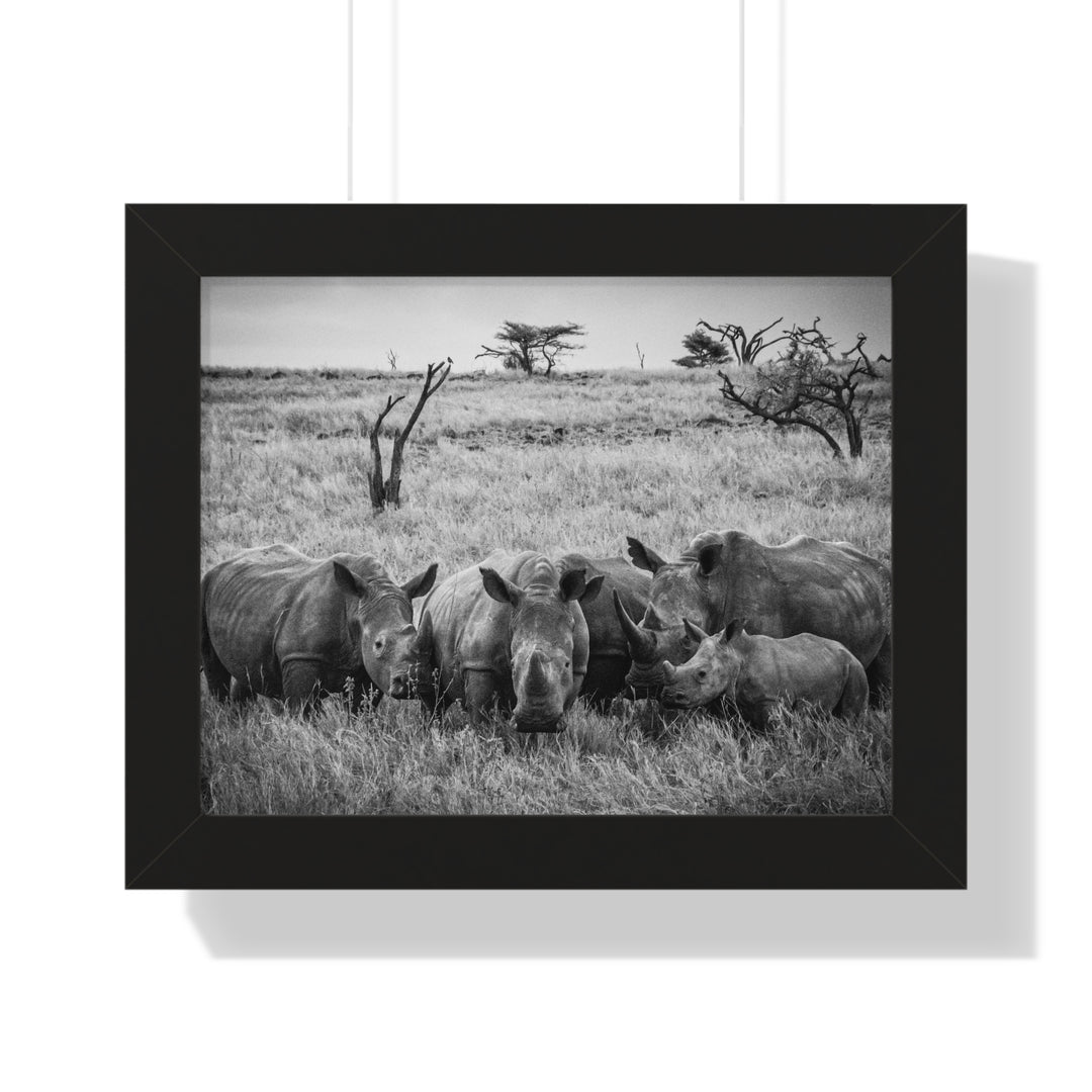 Rhino Family in Black and White - Framed Print