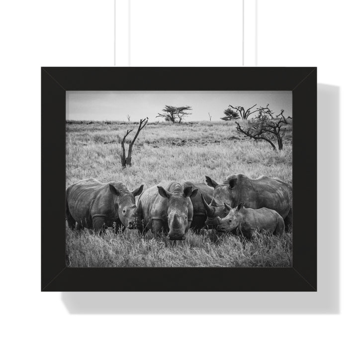Rhino Family in Black and White - Framed Print