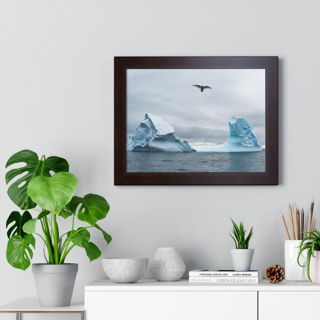 Antarctic Flight - Framed Print
