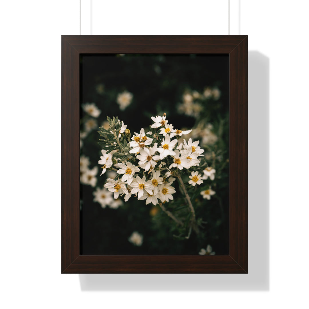 A Touch of White - Framed Print